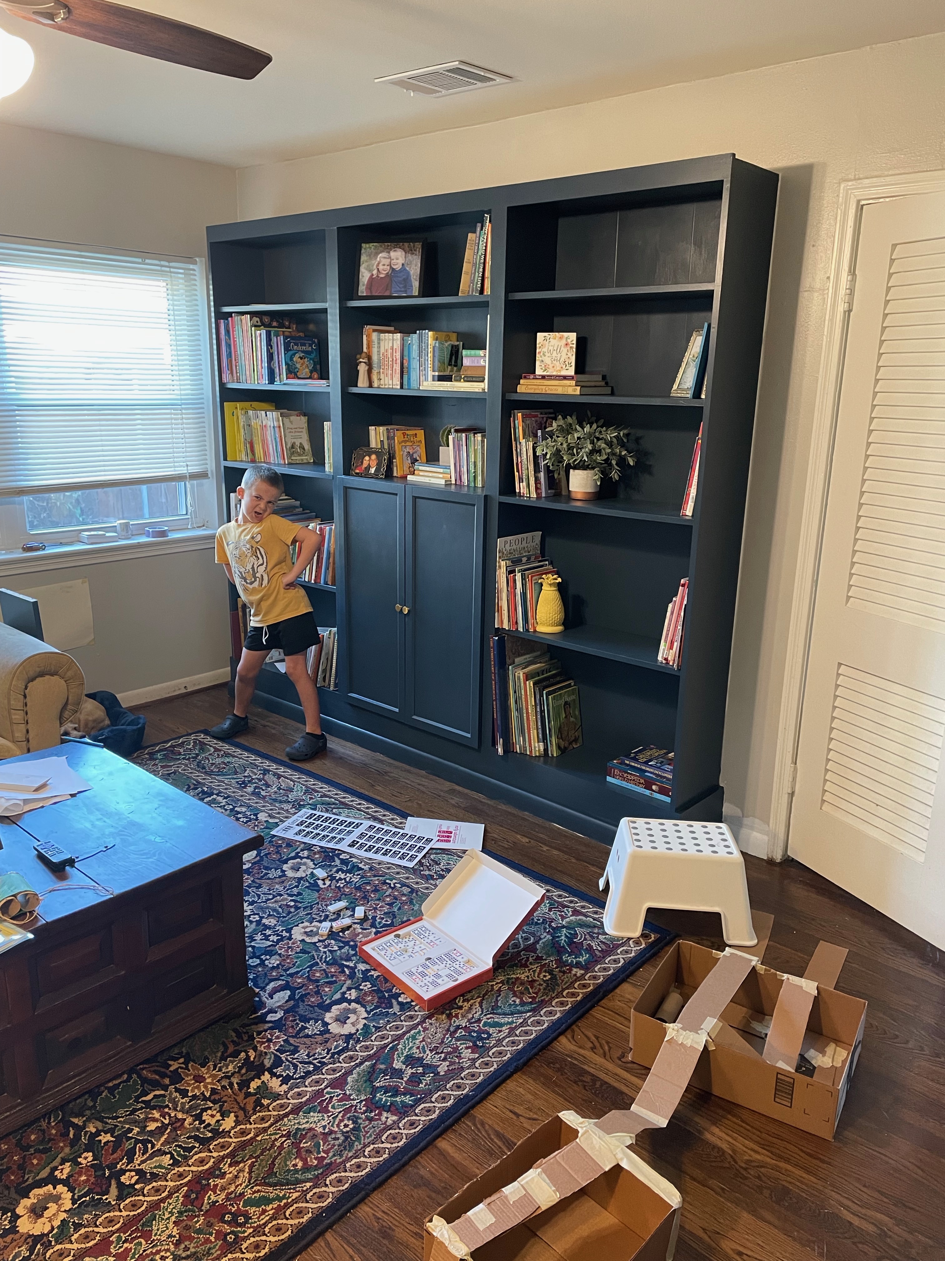IKEA billy bookcase built in library
